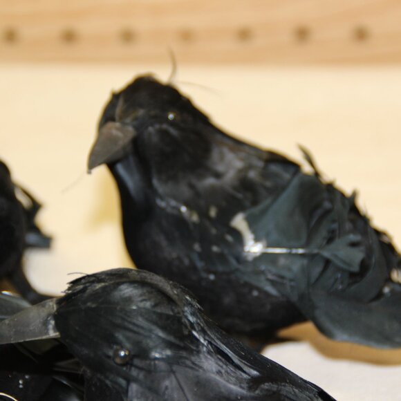 Vintage HALLOWEEN/SPOOKY Black Styrofoam and Feathered Ravens/Crows Lot of 5 - Picture 3 of 6